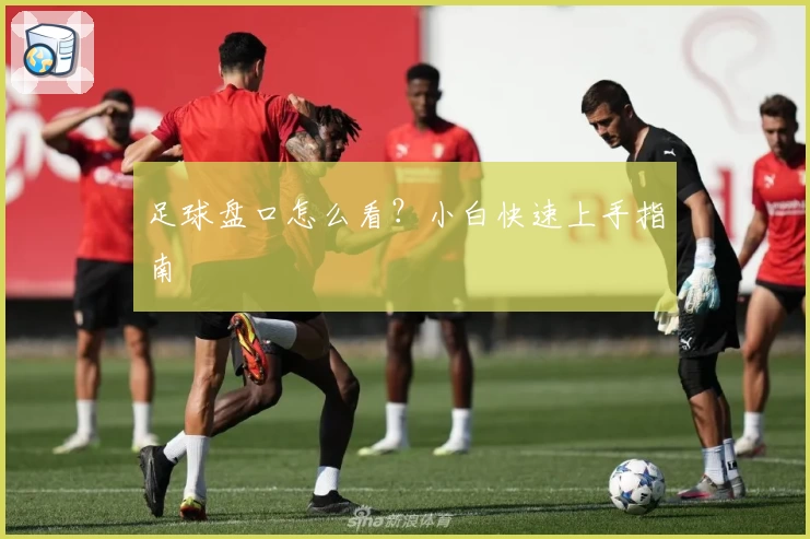 足球盘口怎么看?小白快速上手指南