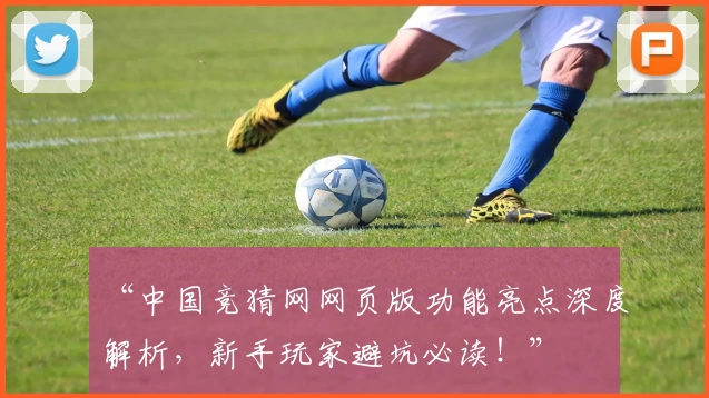 “中国竞猜网网页版功能亮点深度解析，新手玩家避坑必读！”
