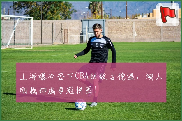 上海爆冷签下CBA劲敌古德温,湖人刚裁却成争冠拼图!