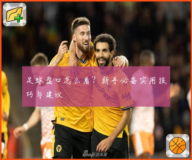 足球盘口怎么看?新手必备实用技巧与建议